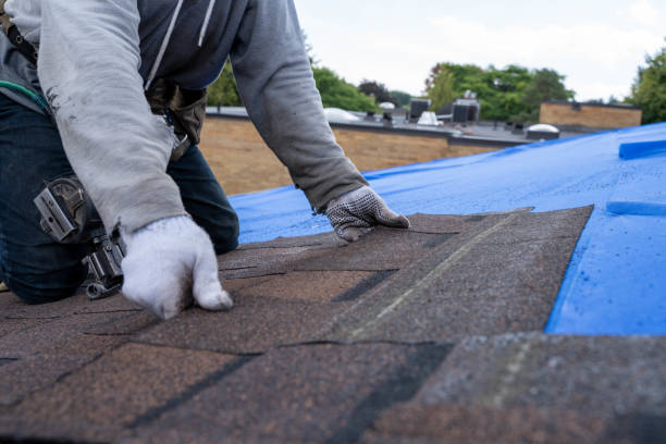 Best Commercial Roofing Services  in Pocono Woodland Lakes, PA
