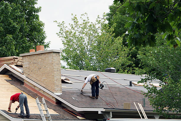 Best Roof Gutter Cleaning  in Pocono Woodland Lakes, PA