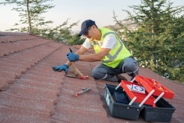 Best Metal Roofing Contractor  in Pocono Woodland Lakes, PA